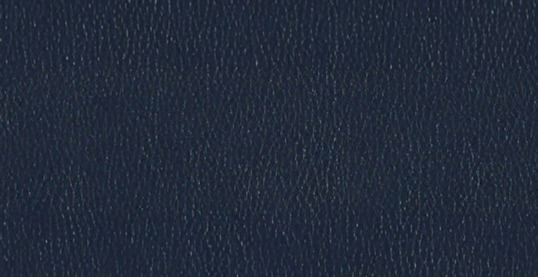 Arc Com_Majorca_ISA_International