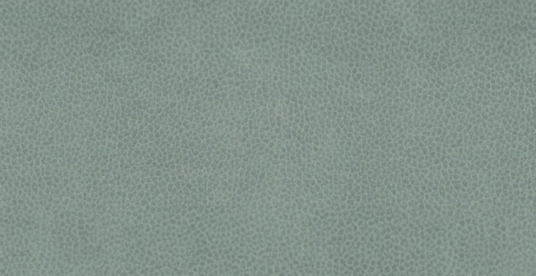 Mayer_Palermo_ISA_International